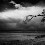 2024_Chile_B&amp;W