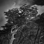 2024_Chile_B&amp;W