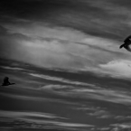 2024_Chile_B&amp;W